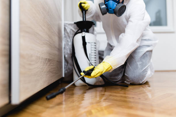 Best Residential Pest Control  in Dodgeville, WI