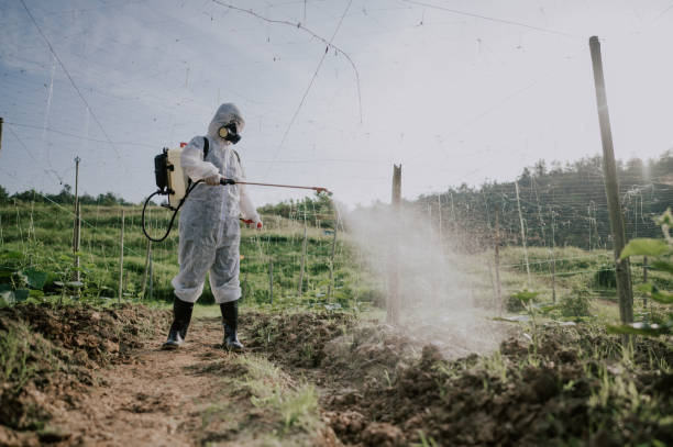 Best Pest Prevention Services  in Dodgeville, WI