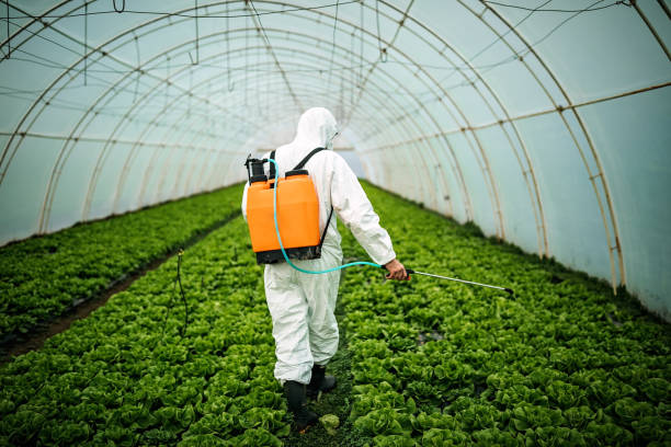 Best Pest Removal Services  in Dodgeville, WI