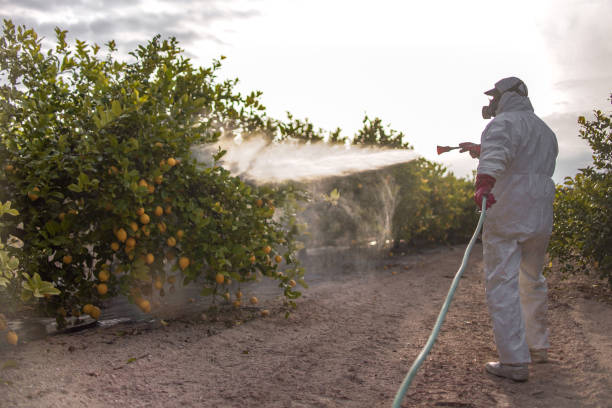 Best Wildlife Control Services  in Dodgeville, WI