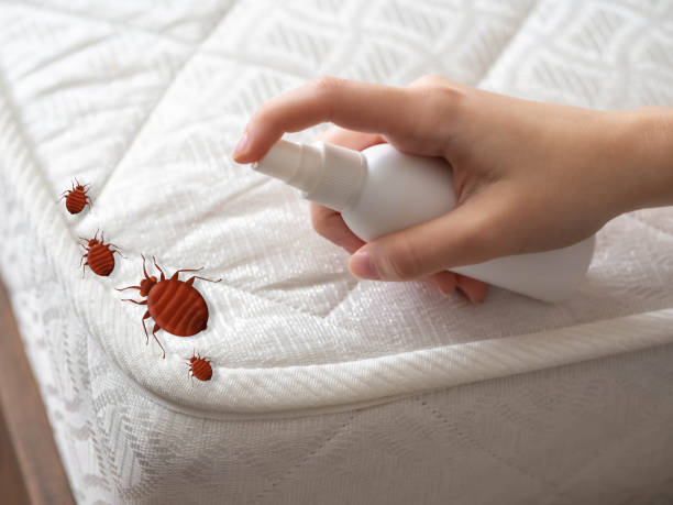 Best Pest Removal Services  in Dodgeville, WI