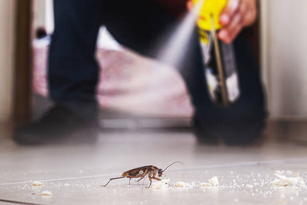 Best Cockroach Control Services  in Dodgeville, WI